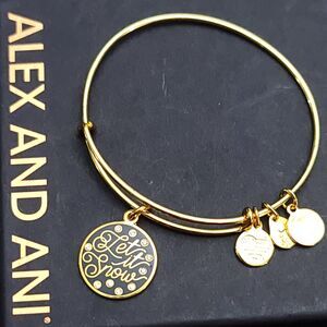 Alex And Ani Let It Snow Charm Bracelet Christmas Charm Bangle